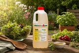 Original Willerts Fix-Salatdressing